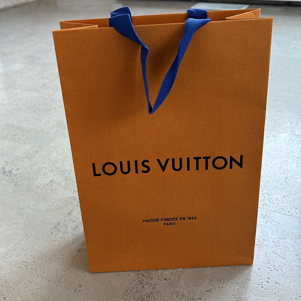 Louis Vuitton shopping bag ~10”x14”x4”